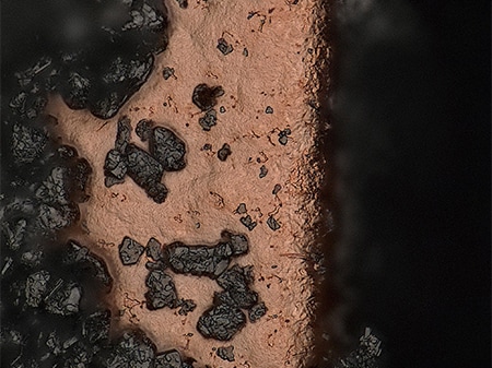 使用内置的同轴落射照明观察(2500×)