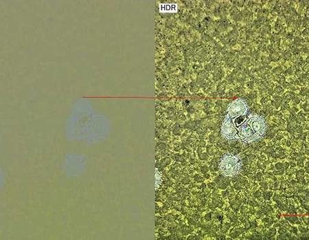 左:无HDR/右:HDR图像